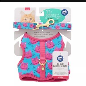 Pink and Blue Butterfly Cat Harness and Leash Set